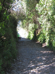 Cobblestone roads. Miles and miles of them. I cannot believe the amount of labor that must have gone into it.