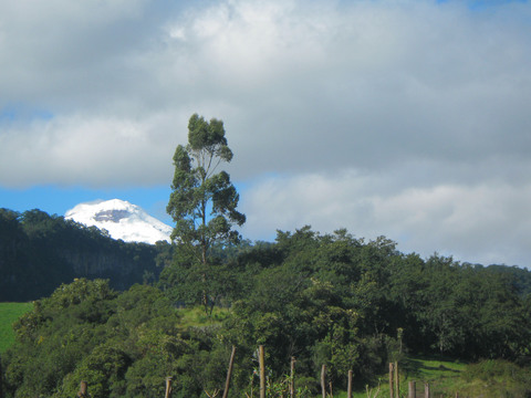 First glimpse of Cotopaxi volcano, where we were heading.