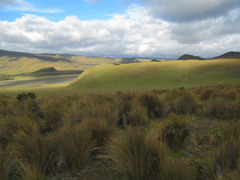 High alpine plain around Cotopaxi (which, again is a volcano) and Tambopaxi (which is the only lodge in Cotopaxi National Park, and is where we stayed).