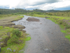 Stream that we ended up fording while wandering around because there was a larger stream Seth did not want to ford.