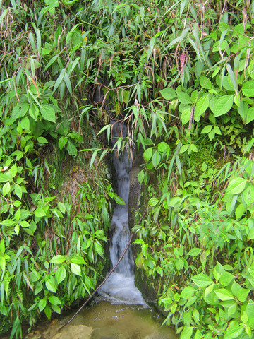 Waterfall on the road from Banos to Puyo.