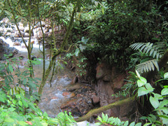 Took a short detour down a jungly side road. 