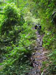 The descent from Banos to Puyo is a very easy and stunning bike ride from mountain peaks through cloud forest to deep rain forest.  