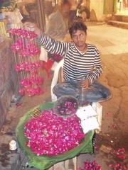 Boy selling rose petals for those asking for Nizam-ud-din's favor.