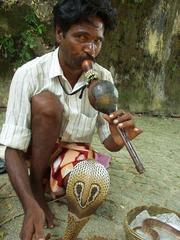 Snake charmer in Fort Cochin, India.