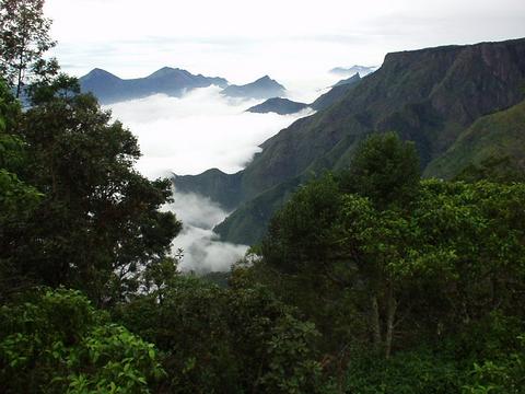Fog spilling over into the valley as seen from Pillar Rock, Kodaikanal.
