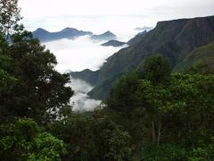 Fog spilling over into the valley as seen from Pillar Rock, Kodaikanal.