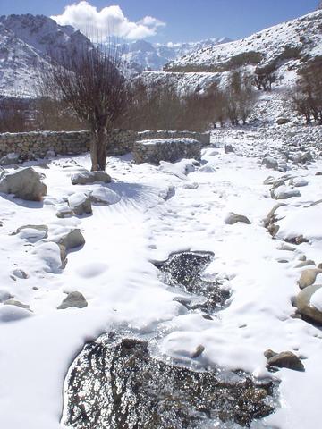 Stream in the valley below the Likir Gompa, Ladakh.