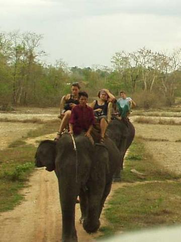Riding Elephants, Kiet Ngong, Champasak Province.