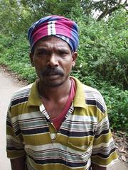 One of the men who pointed out the caterpillars are poisonous.