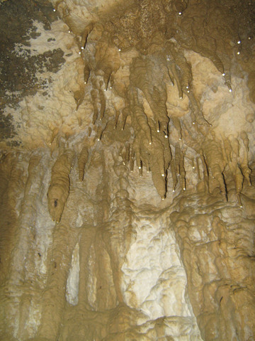 Stalagtites (those are the ones that hang from the ceiling).