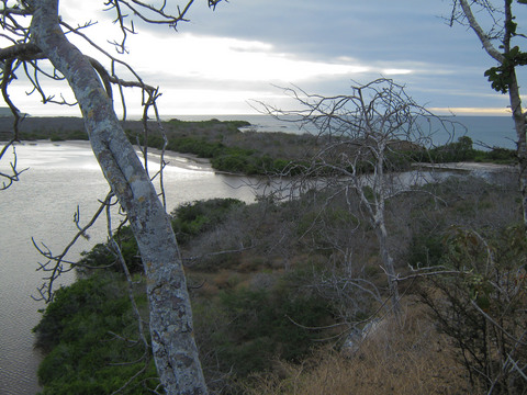 Lagoon at Point Cormorant, Floreana Island.
